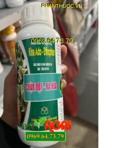 KINA ADO- ETHEPHON- Kích Ra Hoa Nghịch Vụ- Chặn Đọt- Ra Hoa