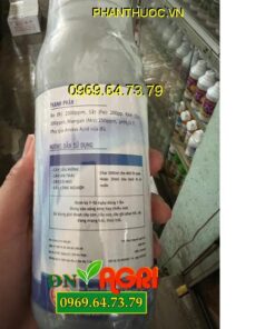 PHÂN BÓN VI LƯỢNG COMBI AMINO - Lá Xanh Dày, Mập Chồi Thân To, To Trái Nặng Ký