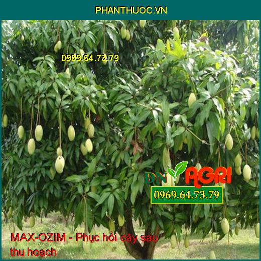 PHÂN BÓN HỮU CƠ MAX-OZIM -Kích Thích Ra Rễ Mạnh, Lá Xanh Bền, Lá Dày, Cứng Cây