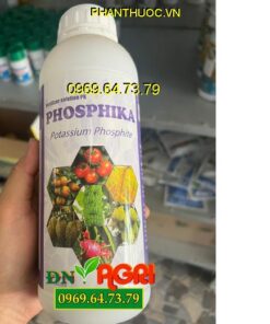 PHÂN BÓN HỖN HỢP PK PHOSPHIKA - Đặc Trị Nứt Thân, Xì Mủ, Đốm Lá, Vàng Lá