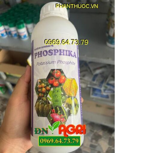 PHÂN BÓN HỖN HỢP PK PHOSPHIKA - Đặc Trị Nứt Thân, Xì Mủ, Đốm Lá, Vàng Lá