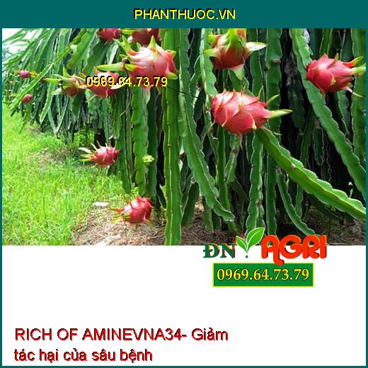 PHÂN BÓN RICH OF AMINEVNA34 - TĂNG TRƯỞNG, LỚN TRÁI, PHỤC HỒI CÂY