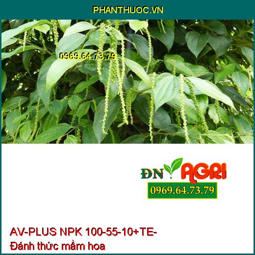 PHÂN BÓN NPK BỔ SUNG VI LƯỢNG AV-PLUS NPK 100-55-10+TE RƯỚC MẮT CUA- RA HOA CỰC MẠNH.