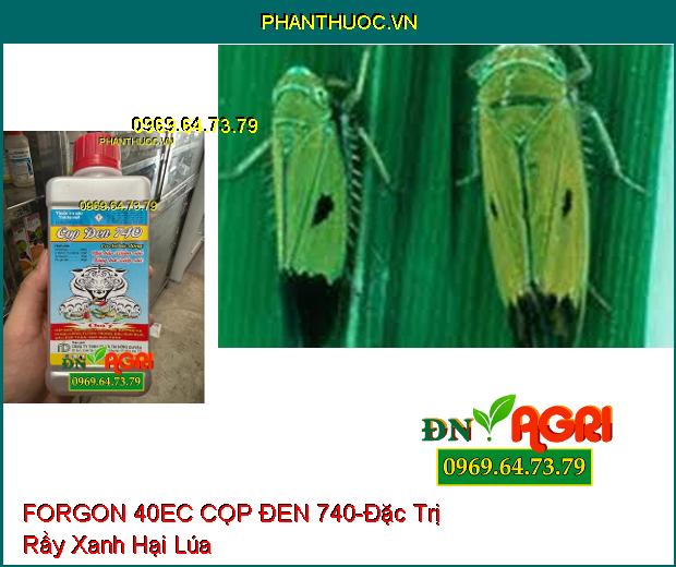 THUỐC TRỪ SÂU FORGON 40EC CỌP ĐEN 740 - Đặc Trị Tuyến Trùng, Rệp Sáp, Bọ Hà, Sâu Đục Thân