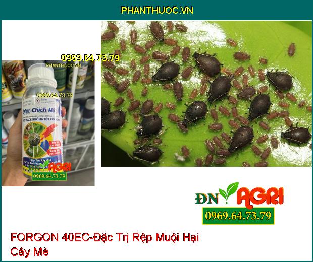 THUỐC TRỪ SÂU FORGON 40EC DIỆT CHÍCH HÚT - Đặc Trị Rầy, Rệp, Ruồi Vàng, Bướm, Bọ Trĩ, Sâu Cuốn Lá