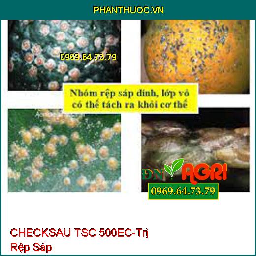 Thuốc Trừ Sâu CHECKSAU TSC 500EC- Đặc Trị Rệp Sáp- Sâu- Côn Trùng Hút Chích