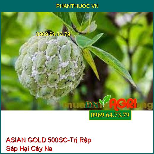 THUỐC TRỪ SÂU ASIAN GOLD 500SC THIURON 500SC - Đặc Trị Nhện Trên Cây Có Múi