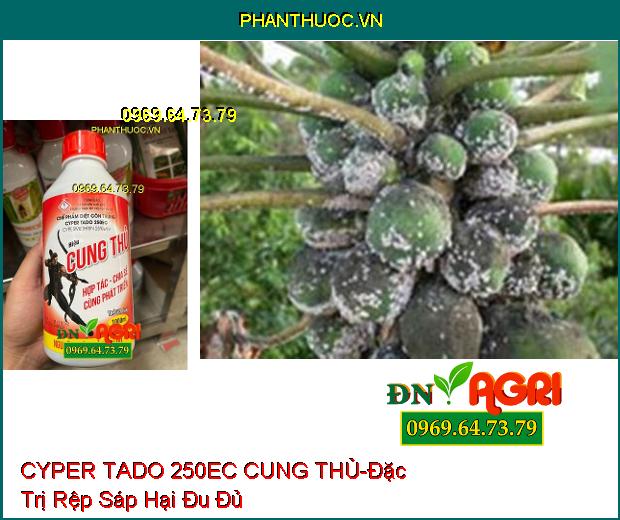 THUỐC TRỪ SÂU CYPER TADO 250EC CUNG THỦ -Đặc Trị Sâu Đục Thân, Sâu Cuốn Lá, Sâu Keo, Sâu Phao Đục Bẹ, Sâu Tơ