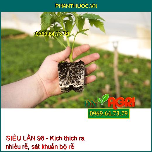 SIÊU LÂN 98- Giúp Tạo Mầm Hoa Cực Mạnh, Ra Hoa Đồng Loạt , Ra Hoa Trái Vụ