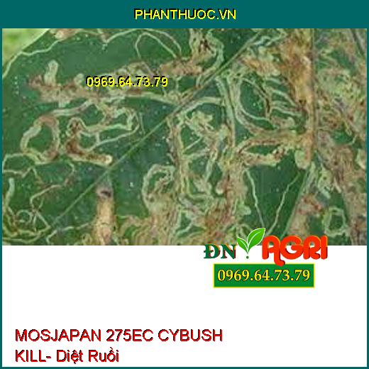 MOSJAPAN 275EC CYBUSH KILL- Diệt Ruồi-Kiến-Gián- Diệt Trứng Và Xua Đuổi Mạnh