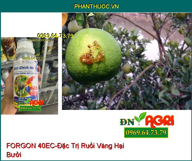 THUỐC TRỪ SÂU FORGON 40EC DIỆT CHÍCH HÚT - Đặc Trị Rầy, Rệp, Ruồi Vàng, Bướm, Bọ Trĩ, Sâu Cuốn Lá