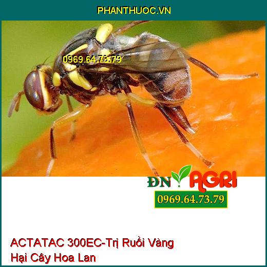 THUỐC TRỪ SÂU ACTATAC 300EC VẼ BÙA VUA BỌ TRĨ - Đặc Trị Ruồi Vàng, Sâu Vẽ Bùa, Bọ Trĩ, Rệp Sáp, Châu Chấu