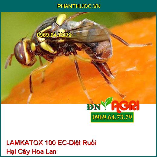 THUỐC TRỪ MUỖI, RUỒI, KIẾN, GIÁN, CÔN TRÙNG LAMKATOX 100 EC