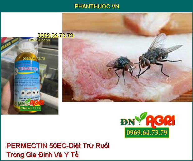 THUỐC DIỆT CÔN TRÙNG PERMECTIN 50EC- TIÊU DIỆT MUỖI, RUỒI, KIẾN, GIÁN, BỌ CHÉT