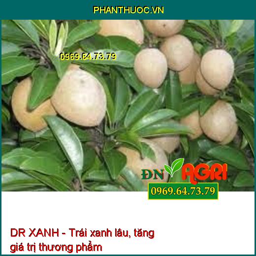 Dr Xanh AMINO ACID 40 - XANH CÂY DÀY LÁ, MÁT BÔNG, NEO TRÁI, XANH LÁ