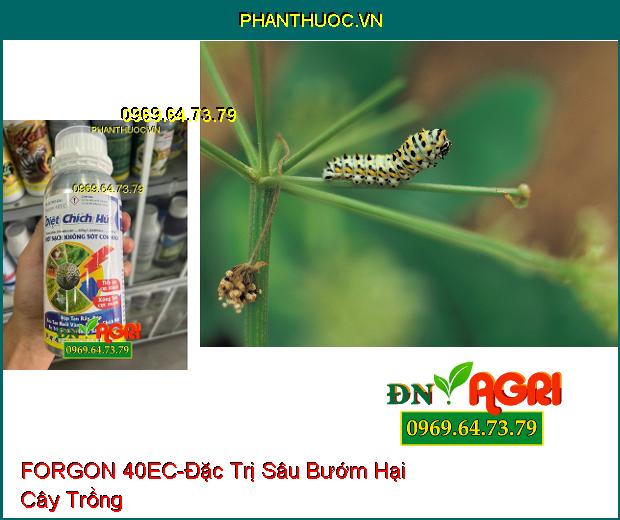 THUỐC TRỪ SÂU FORGON 40EC DIỆT CHÍCH HÚT - Đặc Trị Rầy, Rệp, Ruồi Vàng, Bướm, Bọ Trĩ, Sâu Cuốn Lá