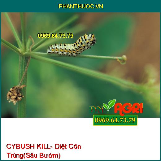 MOSJAPAN 275EC CYBUSH KILL- Diệt Ruồi-Kiến-Gián- Diệt Trứng Và Xua Đuổi Mạnh