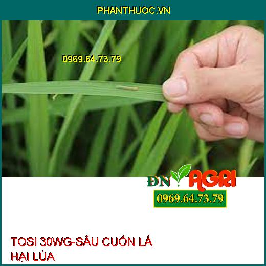 TOSI 30WG DIỆT CHÍCH HÚT - Đặc Trị Rầy Nâu, Rầy Mềm, Rầy Chổng Cánh, Bọ Xít