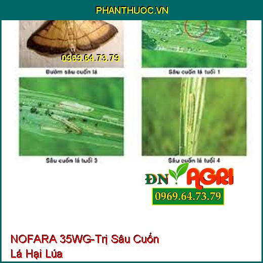 THUỐC TRỪ SÂU NOFARA 35WG - Đặc Trị Rầy Xanh, Bọ Trĩ, Rầy Nâu Hại Lúa 