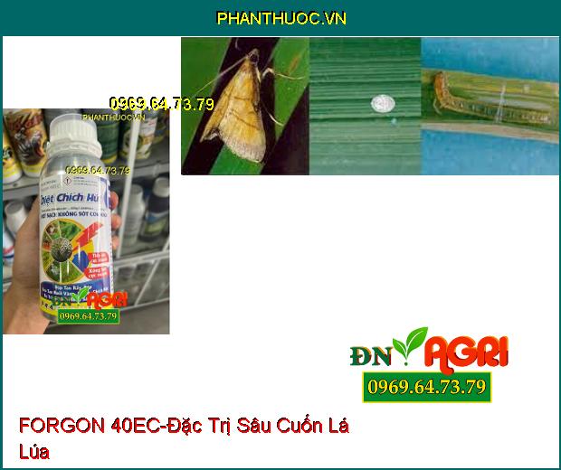 THUỐC TRỪ SÂU FORGON 40EC DIỆT CHÍCH HÚT - Đặc Trị Rầy, Rệp, Ruồi Vàng, Bướm, Bọ Trĩ, Sâu Cuốn Lá