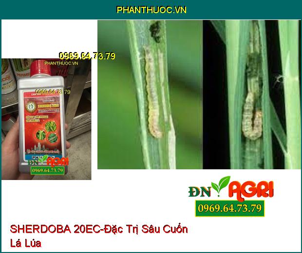 THUỐC TRỪ SÂU SHERDOBA 20EC - Đặc Trị Sâu Khoang, Sâu Cuốn Lá, Sâu Vẽ Bùa, Bọ Trĩ, Rầy Nâu, Sâu Phao Đục Bẹ