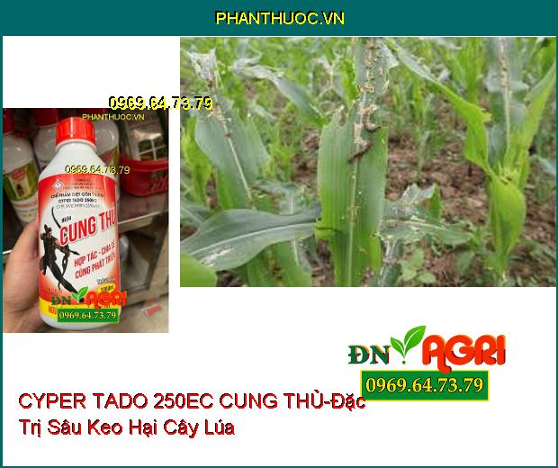 THUỐC TRỪ SÂU CYPER TADO 250EC CUNG THỦ -Đặc Trị Sâu Đục Thân, Sâu Cuốn Lá, Sâu Keo, Sâu Phao Đục Bẹ, Sâu Tơ