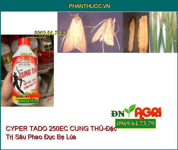 THUỐC TRỪ SÂU CYPER TADO 250EC CUNG THỦ -Đặc Trị Sâu Đục Thân, Sâu Cuốn Lá, Sâu Keo, Sâu Phao Đục Bẹ, Sâu Tơ