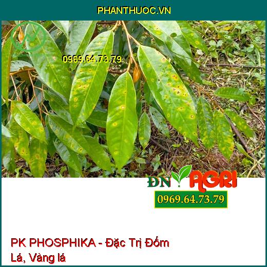 PHÂN BÓN HỖN HỢP PK PHOSPHIKA - Đặc Trị Nứt Thân, Xì Mủ, Đốm Lá, Vàng Lá