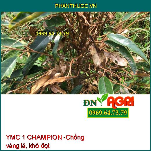 YMC 1 CHAMPION SIÊU VỌT ĐỌT CHUYÊN SẦU RIÊNG - Kích Rễ, Cây Đâm Đọt, Xanh Lá