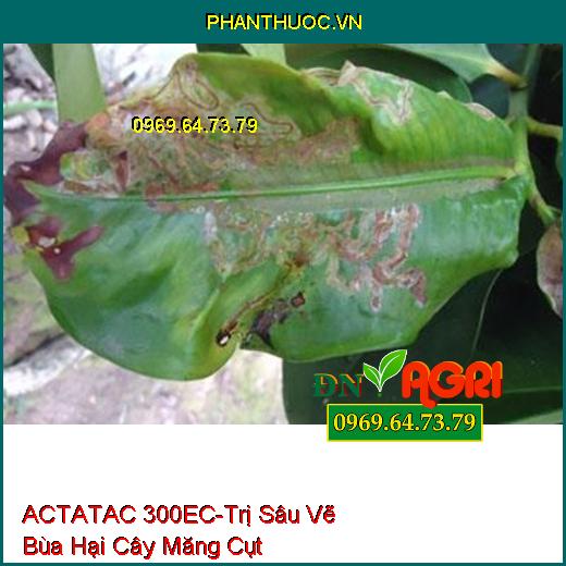 THUỐC TRỪ SÂU ACTATAC 300EC VẼ BÙA VUA BỌ TRĨ - Đặc Trị Ruồi Vàng, Sâu Vẽ Bùa, Bọ Trĩ, Rệp Sáp, Châu Chấu