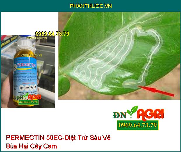 THUỐC DIỆT CÔN TRÙNG PERMECTIN 50EC- TIÊU DIỆT MUỖI, RUỒI, KIẾN, GIÁN, BỌ CHÉT