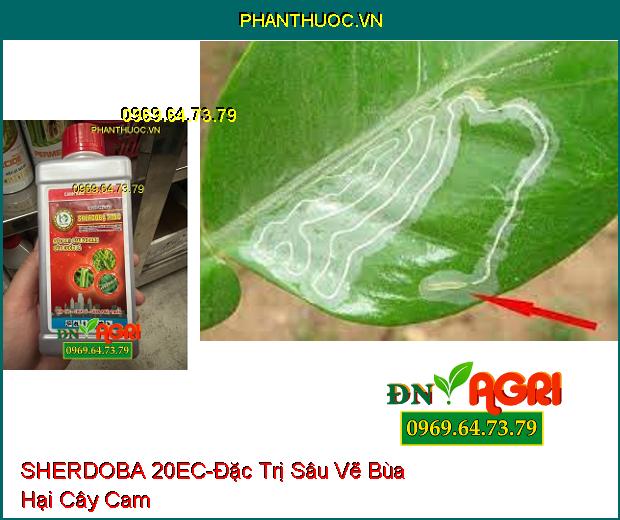 THUỐC TRỪ SÂU SHERDOBA 20EC - Đặc Trị Sâu Khoang, Sâu Cuốn Lá, Sâu Vẽ Bùa, Bọ Trĩ, Rầy Nâu, Sâu Phao Đục Bẹ