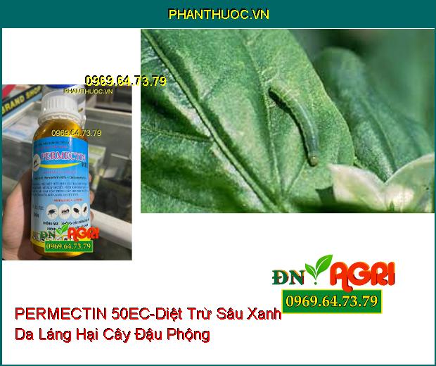 THUỐC DIỆT CÔN TRÙNG PERMECTIN 50EC- TIÊU DIỆT MUỖI, RUỒI, KIẾN, GIÁN, BỌ CHÉT