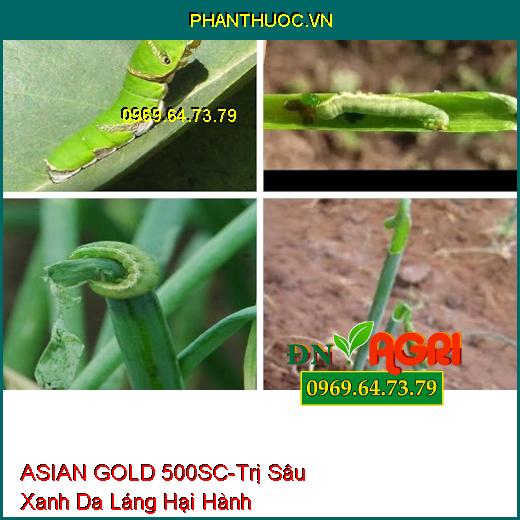 THUỐC TRỪ SÂU ASIAN GOLD 500SC THIURON 500SC - Đặc Trị Nhện Trên Cây Có Múi