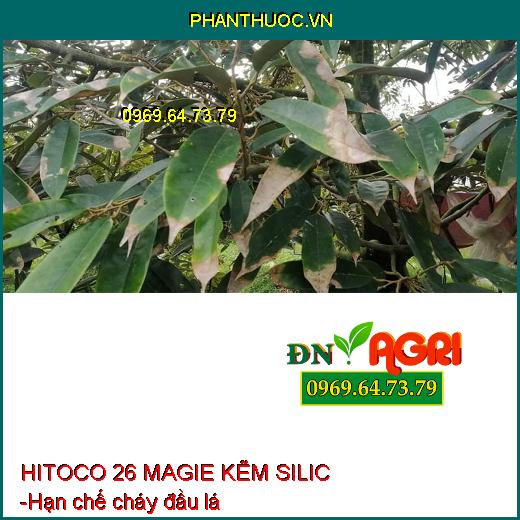 PHÂN BÓN LÁ AV3 ZIN HITOCO 26 MAGIE KẼM SILIC - XANH GAI, SÁNG TRÁI, PHÁT CHỒI, NẢY LỘC, CỨNG CÂY