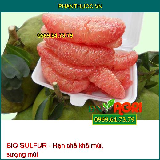 Phân Bón BIO SULFUR Hữu Cơ-Ngừa Phấn Trắng-Đuổi Côn Trùng-Mát Bông- Dưỡng Cây