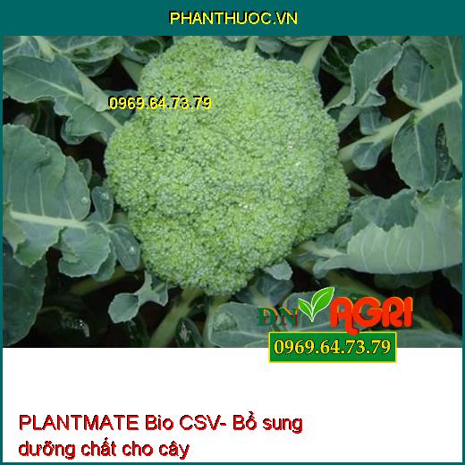 PLANTMATE Bio CSV- Đâm Chồi- Bung Đọt- Ra Hoa Đồng Loạt- Nuôi Quả