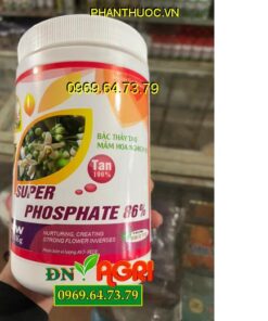 SUPER PHOSPHATE 86% - Chuyên Tạo Mầm Hoa Vụ Nghịch, Ức chế ngọn, Hạn Chế Đi Đọt