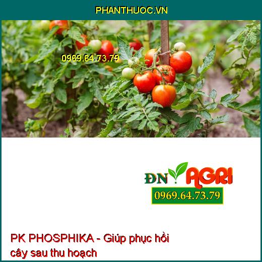 PHÂN BÓN HỖN HỢP PK PHOSPHIKA - Đặc Trị Nứt Thân, Xì Mủ, Đốm Lá, Vàng Lá