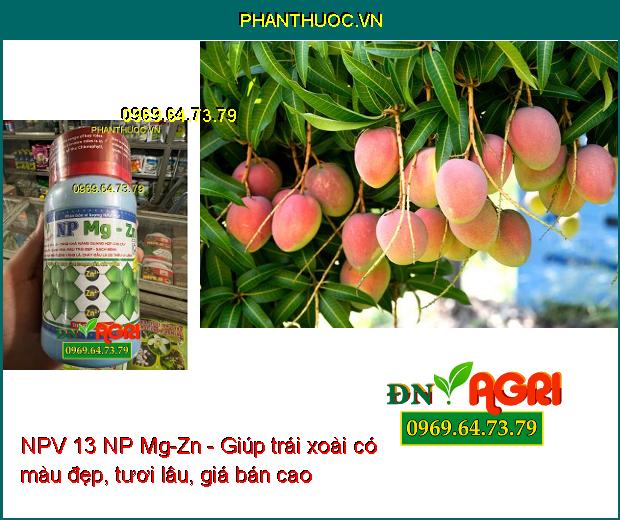 NPV 13 NP Mg-Zn - Xanh Lá- Cứng Cây- Sáng Trái- Màu Trái Đẹp- Chống Vàng Lá