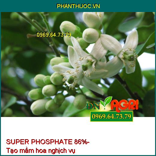 SUPER PHOSPHATE 86% - Chuyên Tạo Mầm Hoa Vụ Nghịch, Ức chế ngọn, Hạn Chế Đi Đọt