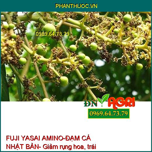 PHÂN BÓN SINH HỌC FUJI YASAI AMINO-ĐẠM CÁ NHẬT BẢN - Giúp Cây Đâm Chồi, Mập Thân, Xanh Lá, Phục Hồi Cây Hư Tổn, Phì Trái, Bóng Trái