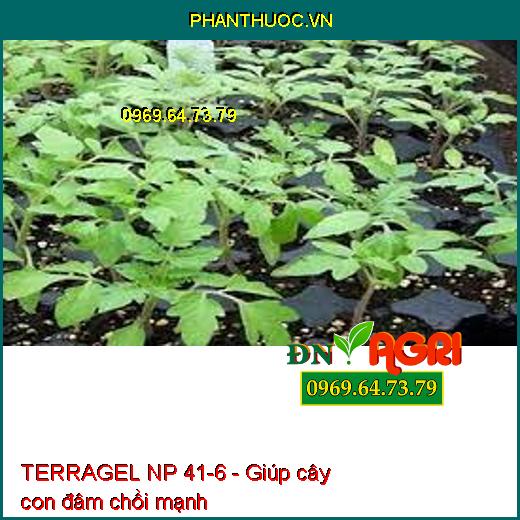 PHÂN BÓN DẠNG GEL TERRAGEL NP 41-6 ĐÂM CHỒI DƯỠNG BÚP VỚI VI LƯỢNG CHELATE -  Đâm Chồi, Xanh Lá, Phục Hồi Cây