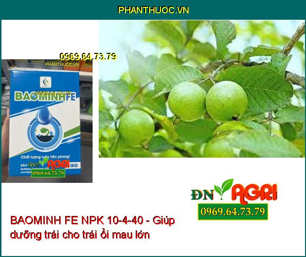 BAOMINH FE NPK 10-4-40 Kích Ra Hoa Đồng Loạt- Lớn Trái- Phát Triển Cực Mạnh