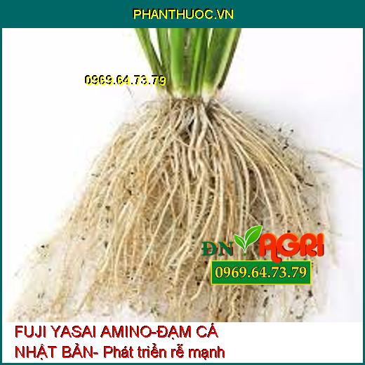 PHÂN BÓN SINH HỌC FUJI YASAI AMINO-ĐẠM CÁ NHẬT BẢN - Giúp Cây Đâm Chồi, Mập Thân, Xanh Lá, Phục Hồi Cây Hư Tổn, Phì Trái, Bóng Trái