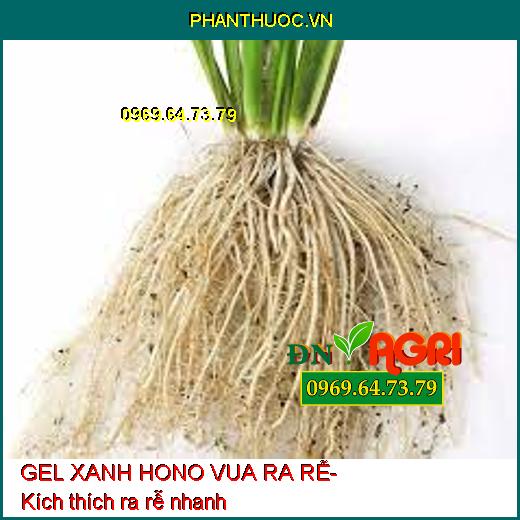 GEL XANH HONO VUA RA RỄ – Siêu Ra rễ, Vọt Đọt, Tái Sinh Hệ Rễ, Bung Cành Vọt Đọt, Xanh Cây