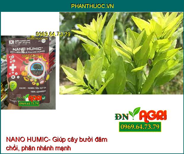 NANO HUMIC- Xanh Lá Dày Lá-Ra Rễ Mạnh-Tăng Thụ Phấn-Chống Rụng Hoa,Trái Non