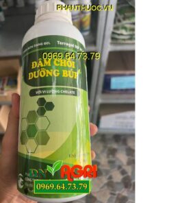 PHÂN BÓN DẠNG GEL TERRAGEL NP 41-6 ĐÂM CHỒI DƯỠNG BÚP VỚI VI LƯỢNG CHELATE -  Đâm Chồi, Xanh Lá, Phục Hồi Cây