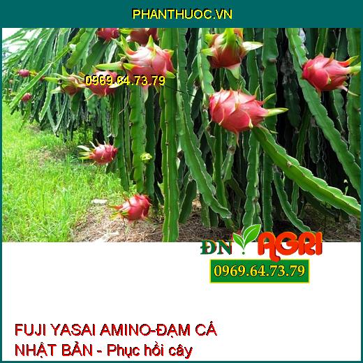 PHÂN BÓN SINH HỌC FUJI YASAI AMINO-ĐẠM CÁ NHẬT BẢN - Giúp Cây Đâm Chồi, Mập Thân, Xanh Lá, Phục Hồi Cây Hư Tổn, Phì Trái, Bóng Trái