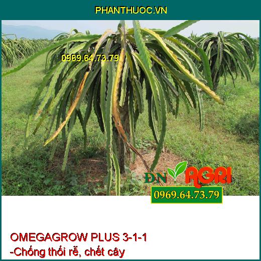 PHÂN BÓN LÁ OMEGAGROW PLUS 3-1-1 - Đâm Chồi, Phát Đọt, Phát Rễ, Lá Xanh, Dày Lá, Lớn Trái